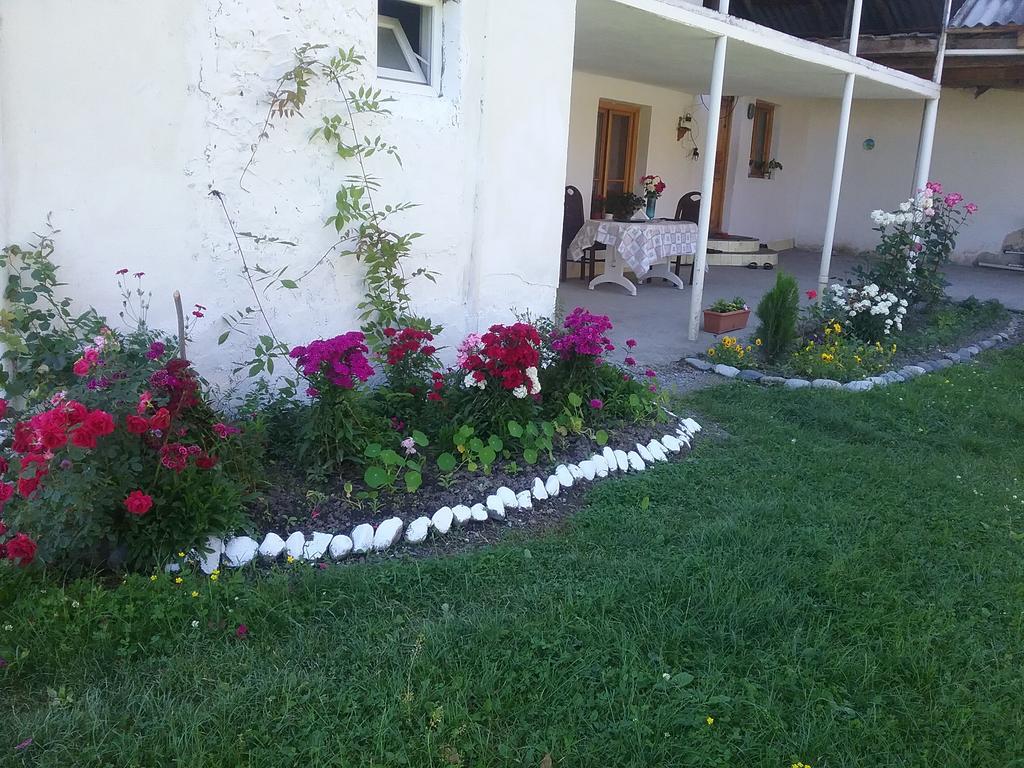 Guest House Anisa Birkiani Exterior foto