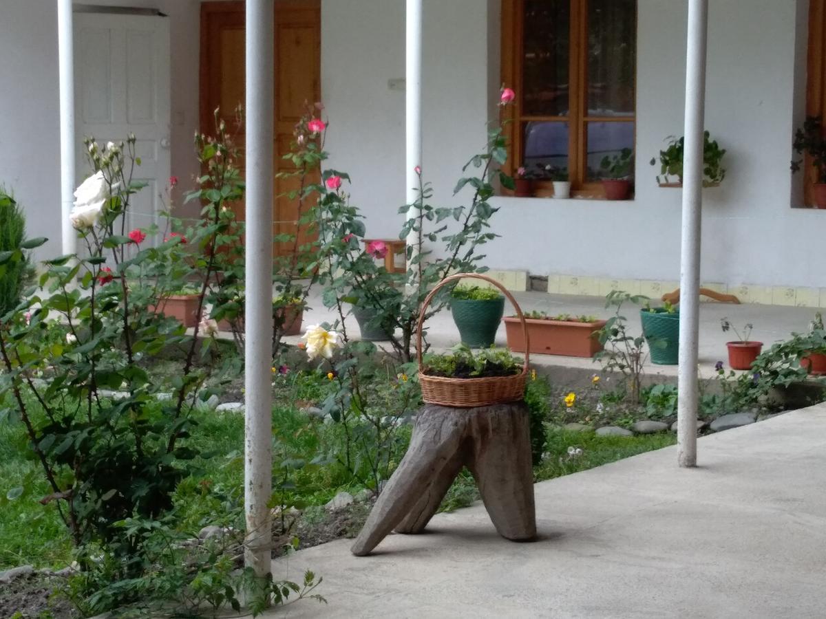 Guest House Anisa Birkiani Exterior foto